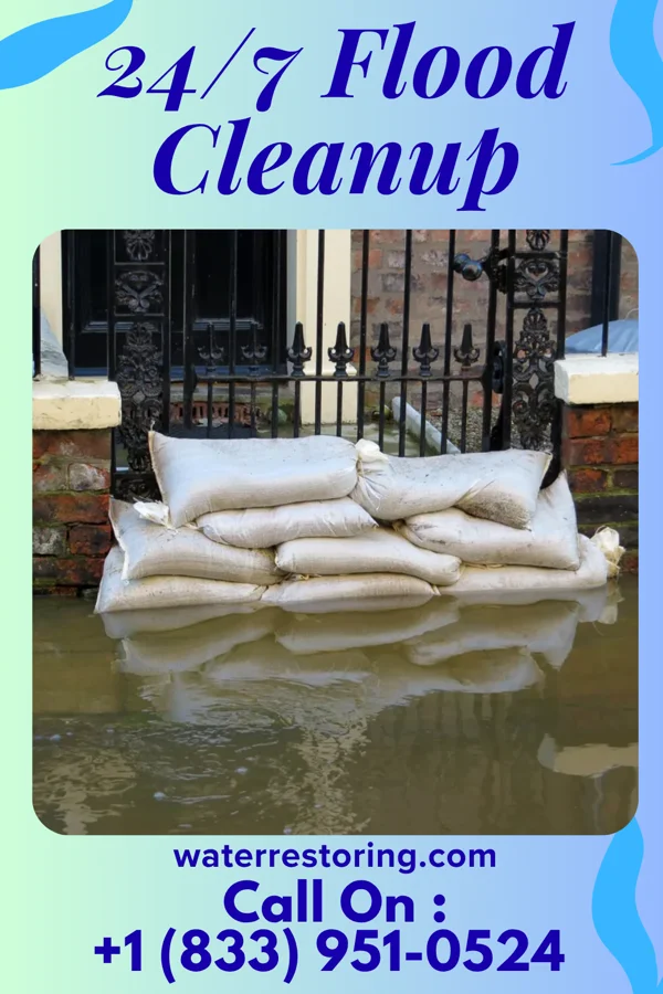 24/7 Flood Cleanup in Lost Nation, IL