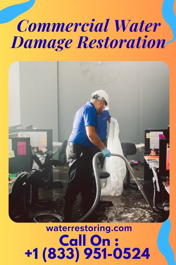 Commercial Water Damage Restoration in Lost Nation, IL