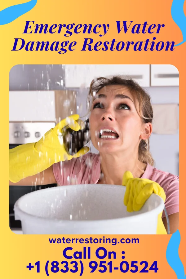 Emergency Water Damage Restoration in Lost Nation, IL